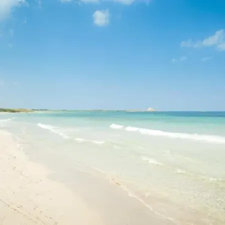 Hébergement de vacances Musa Balbisiana Casa Olea Brindisi